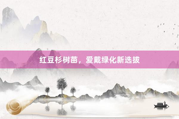 红豆杉树苗，爱戴绿化新选拔