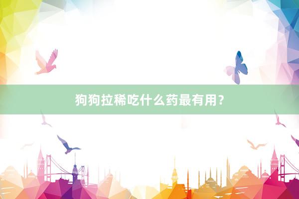 狗狗拉稀吃什么药最有用？
