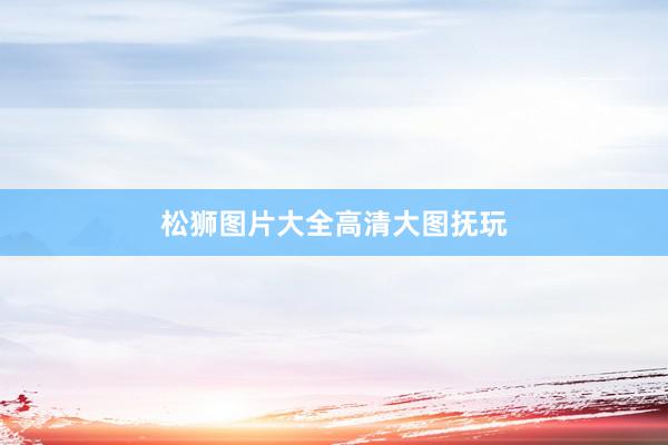 松狮图片大全高清大图抚玩