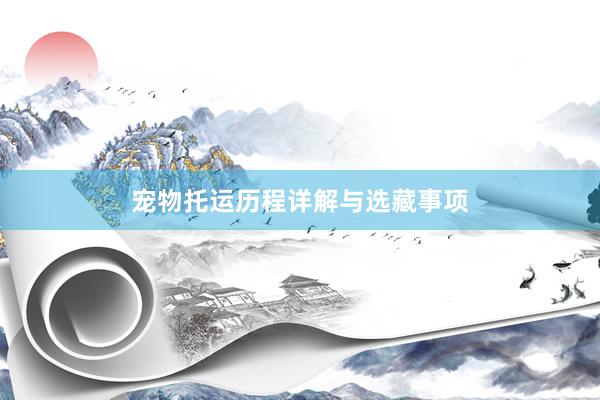 宠物托运历程详解与选藏事项