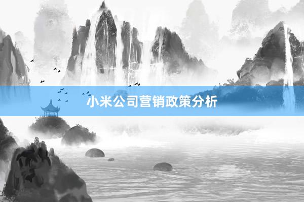 小米公司营销政策分析